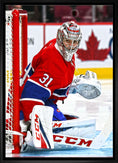Charger l'image dans la visionneuse de la galerie, Carey Price Unsigned 20x29 Framed Canvas Action "Protecting the Net"