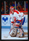 Charger l'image dans la visionneuse de la galerie, Patrick Roy 20x29 Framed Canvas Canadiens Action-V