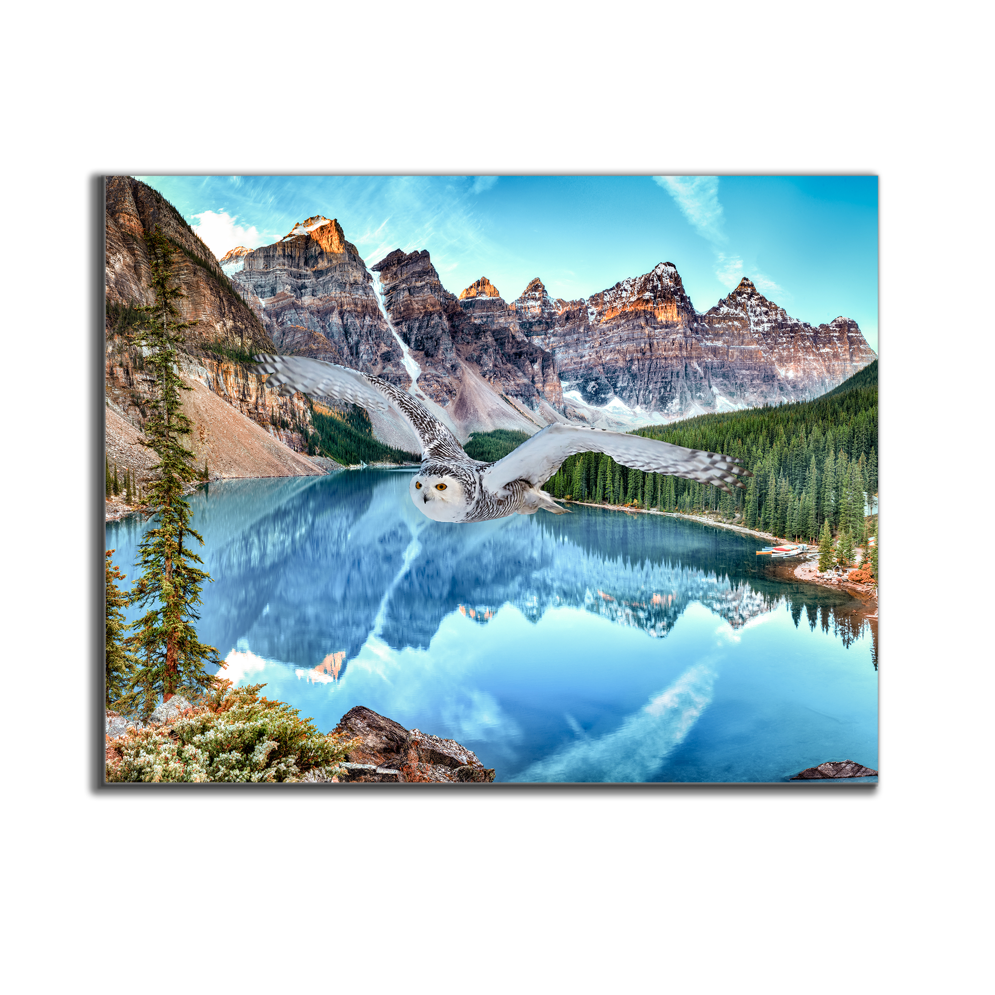 Canvas Wildlife Art-Snowy Owl at Banff-Printed Artwork