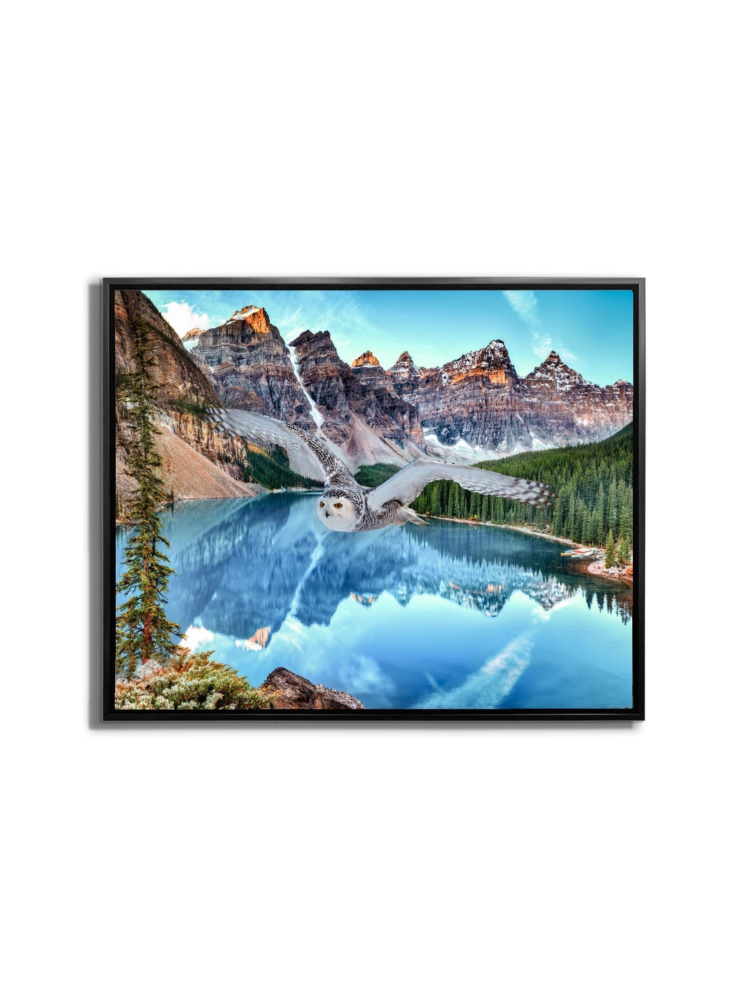 Canvas Wildlife Art-Snowy Owl at Banff-Printed Artwork