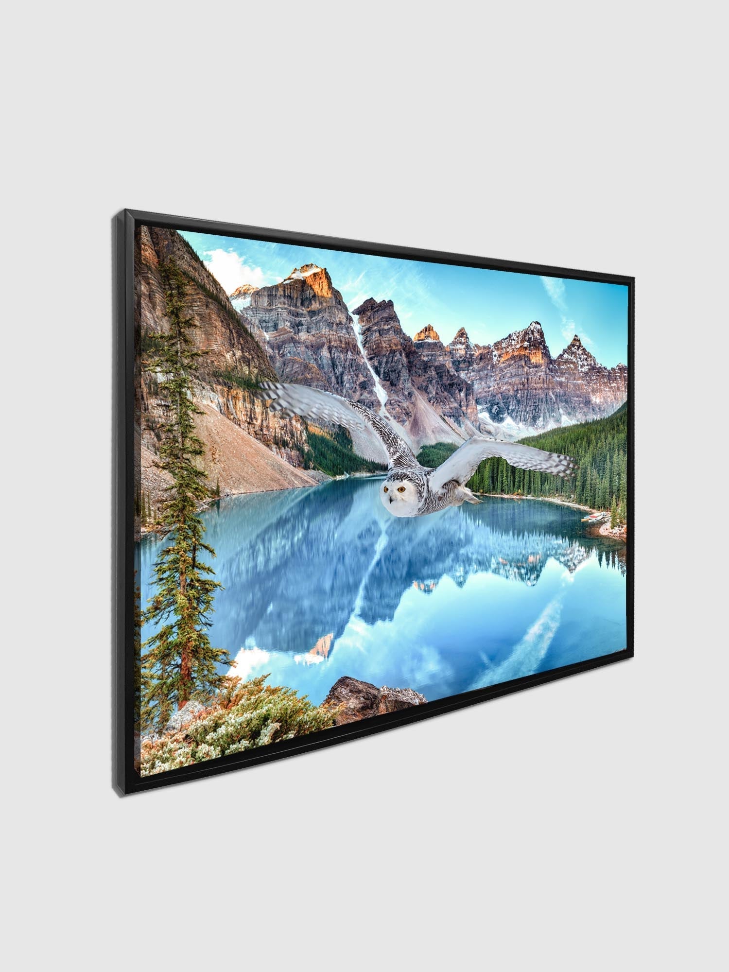 Canvas Wildlife Art-Snowy Owl at Banff-Printed Artwork