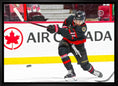 Charger l'image dans la visionneuse de la galerie, Tim Stutzle Ottawa Senators Framed 20x29 Shooting Canvas
