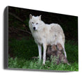Charger l'image dans la visionneuse de la galerie, Wall art Arctic Wolves - Remus and Romulus
