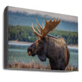 Charger l'image dans la visionneuse de la galerie, Wall art Moose
