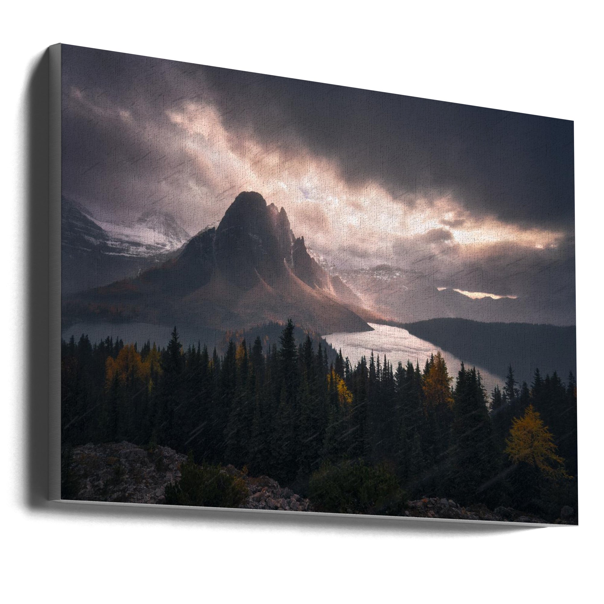 Wall art Assiniboine in Snow