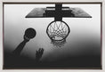 Charger l'image dans la visionneuse de la galerie, Wall art n/t Basketball
