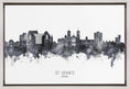 Charger l'image dans la visionneuse de la galerie, Wall art St John's Canada Skyline
