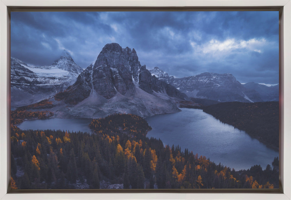 Wall art Mt Assiniboine: Amidst A Snow Storm