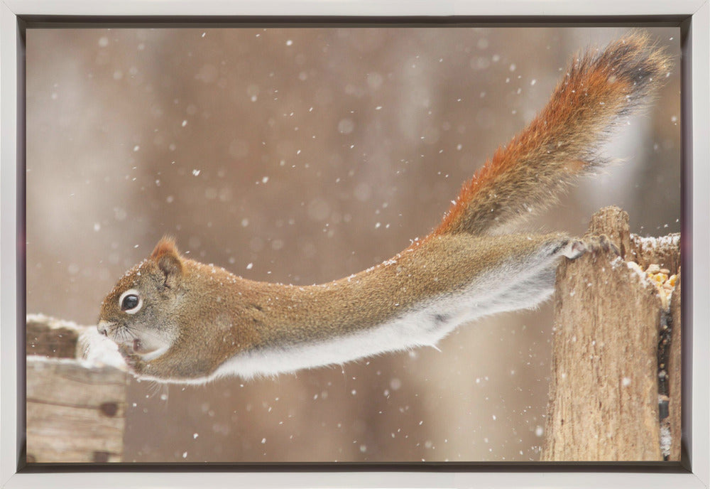 Wall art The Acrobat