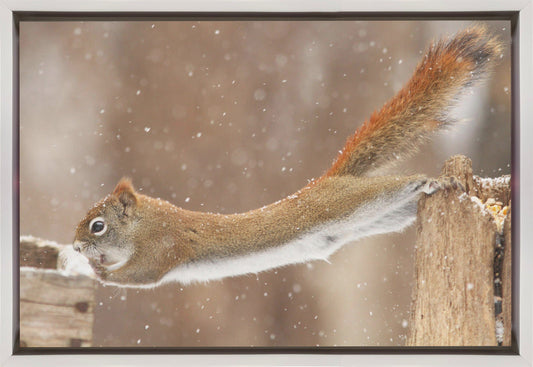 Wall art The Acrobat