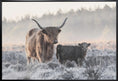 Charger l'image dans la visionneuse de la galerie, Wall art Highlander and Calf
