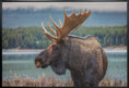 Charger l'image dans la visionneuse de la galerie, Wall art Moose
