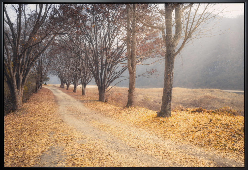 Wall art In the middle of autumn
