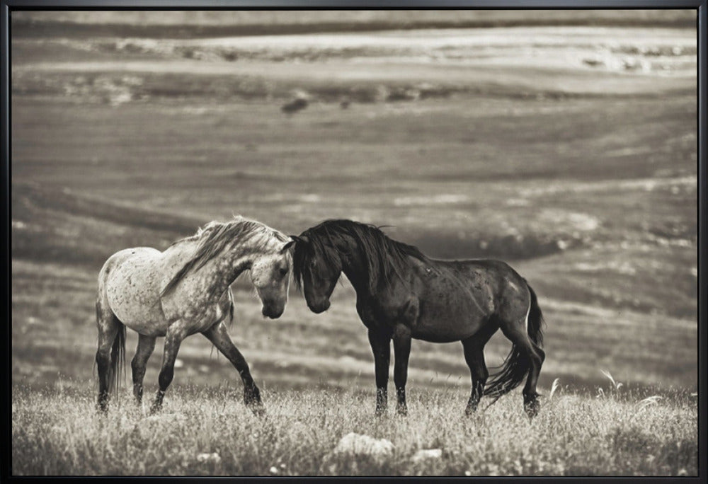 Wall art close encounter