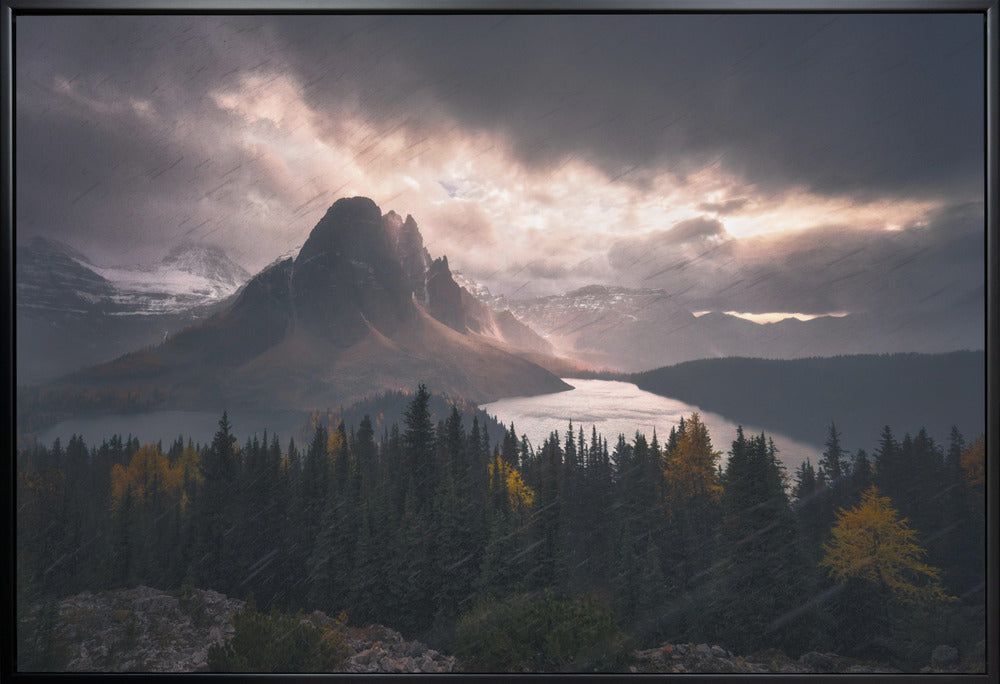 Wall art Assiniboine in Snow