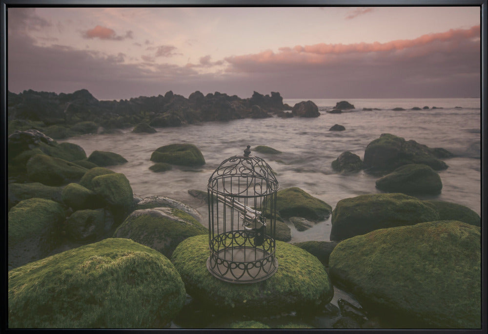 Wall art Free yourself!