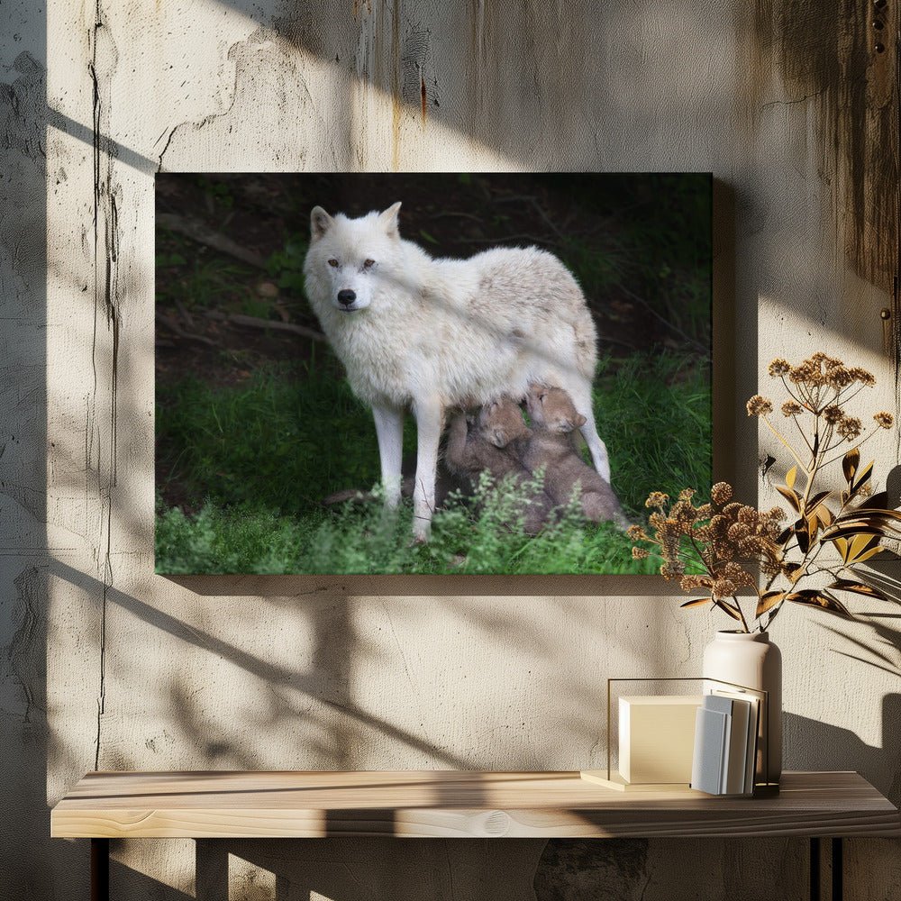 Wall art Arctic Wolves - Remus and Romulus