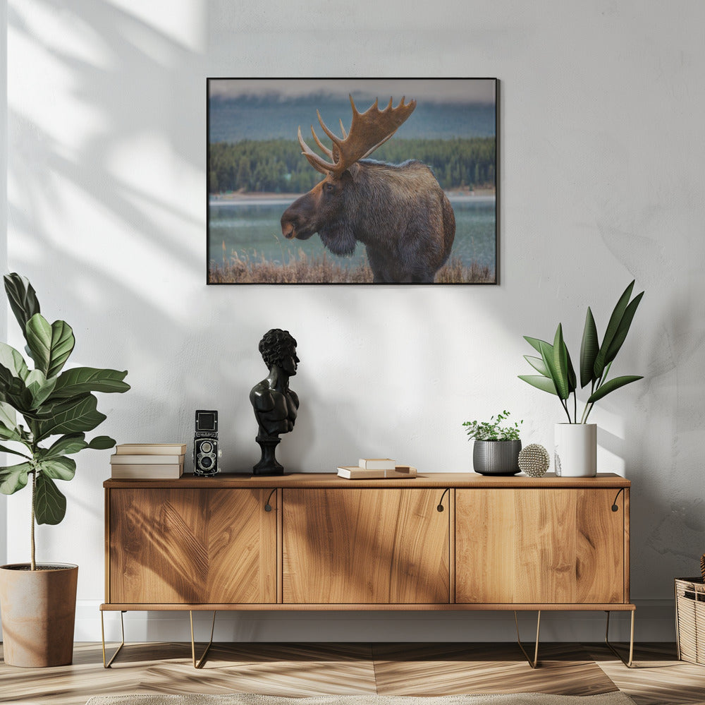 Wall art Moose