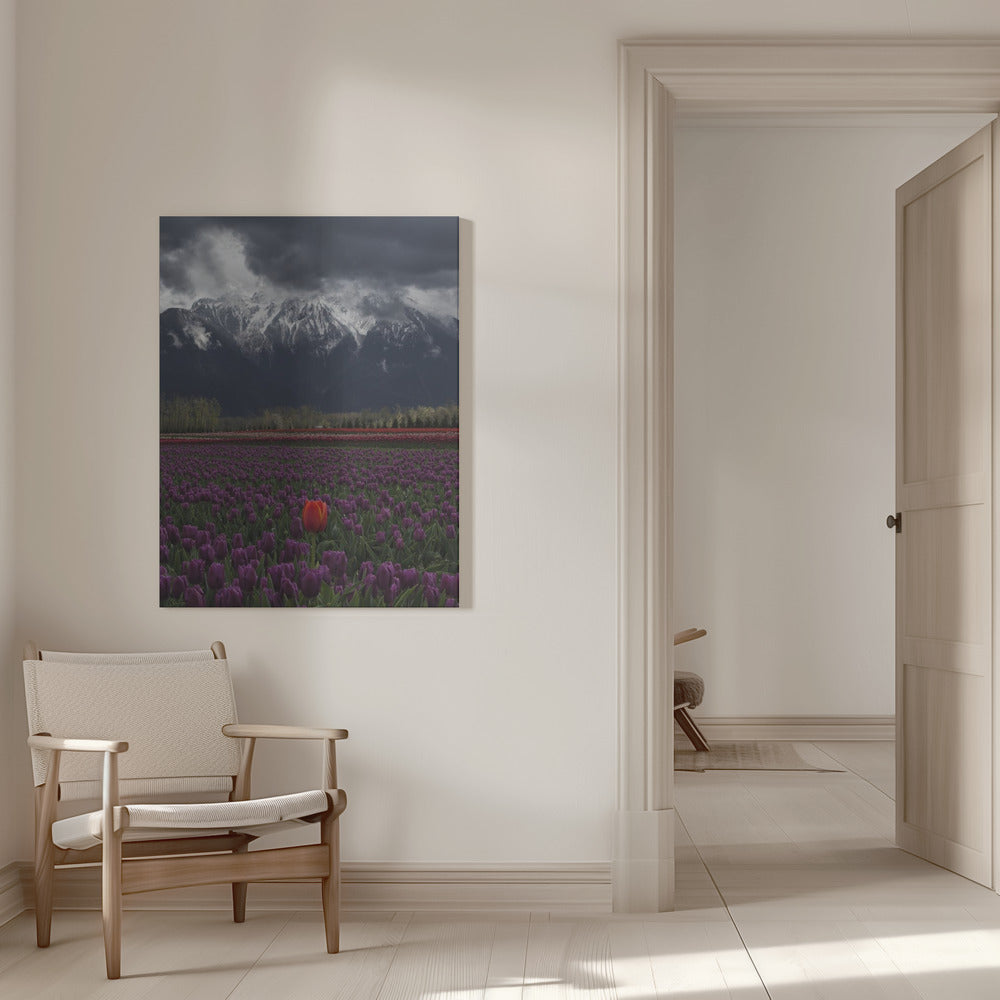 Wall art Tulip in Vancouver, Canada