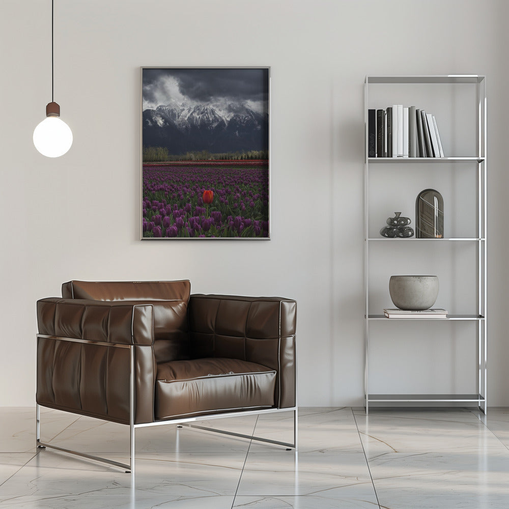 Wall art Tulip in Vancouver, Canada