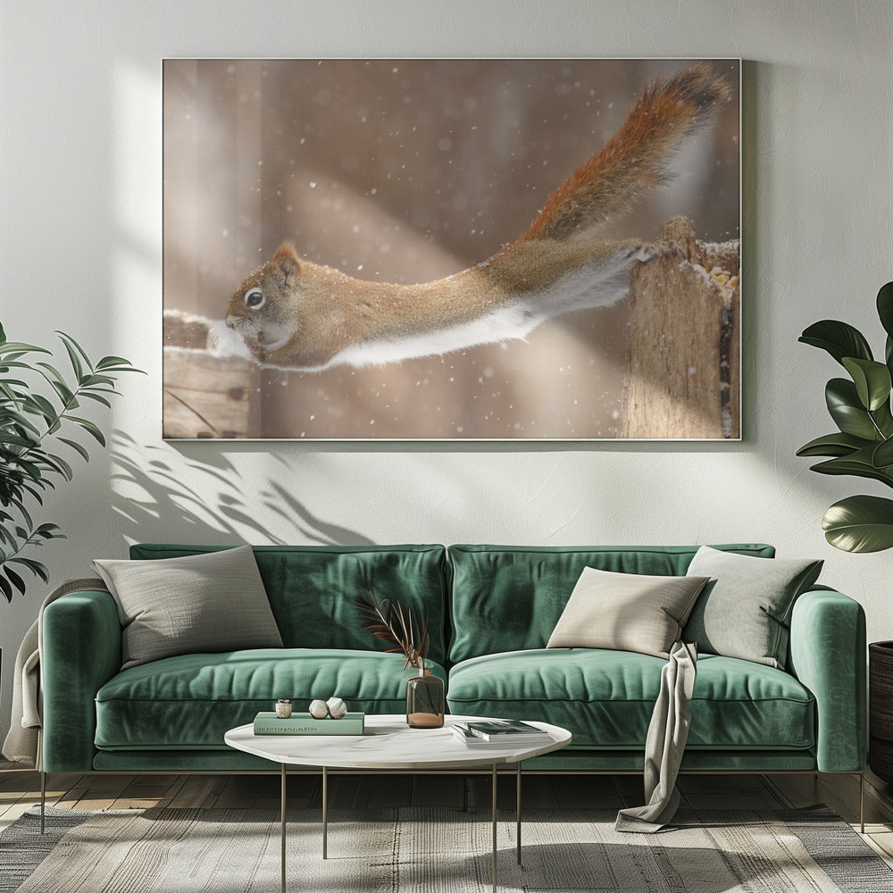 Wall art The Acrobat