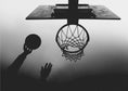 Charger l'image dans la visionneuse de la galerie, Wall art n/t Basketball
