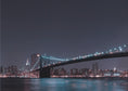 Charger l'image dans la visionneuse de la galerie, Wall art Manhattan Skyline and Brooklyn Bridge
